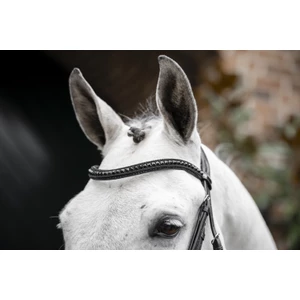 Horseware Diamante Flash Bridle - Black/Black in Black