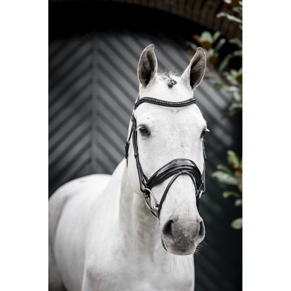 Horseware Diamante Flash Bridle - Black/Black 