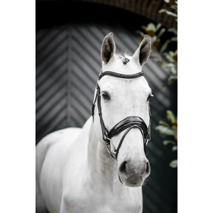 Horseware Diamante Flash Bridle - Black/Black in Black