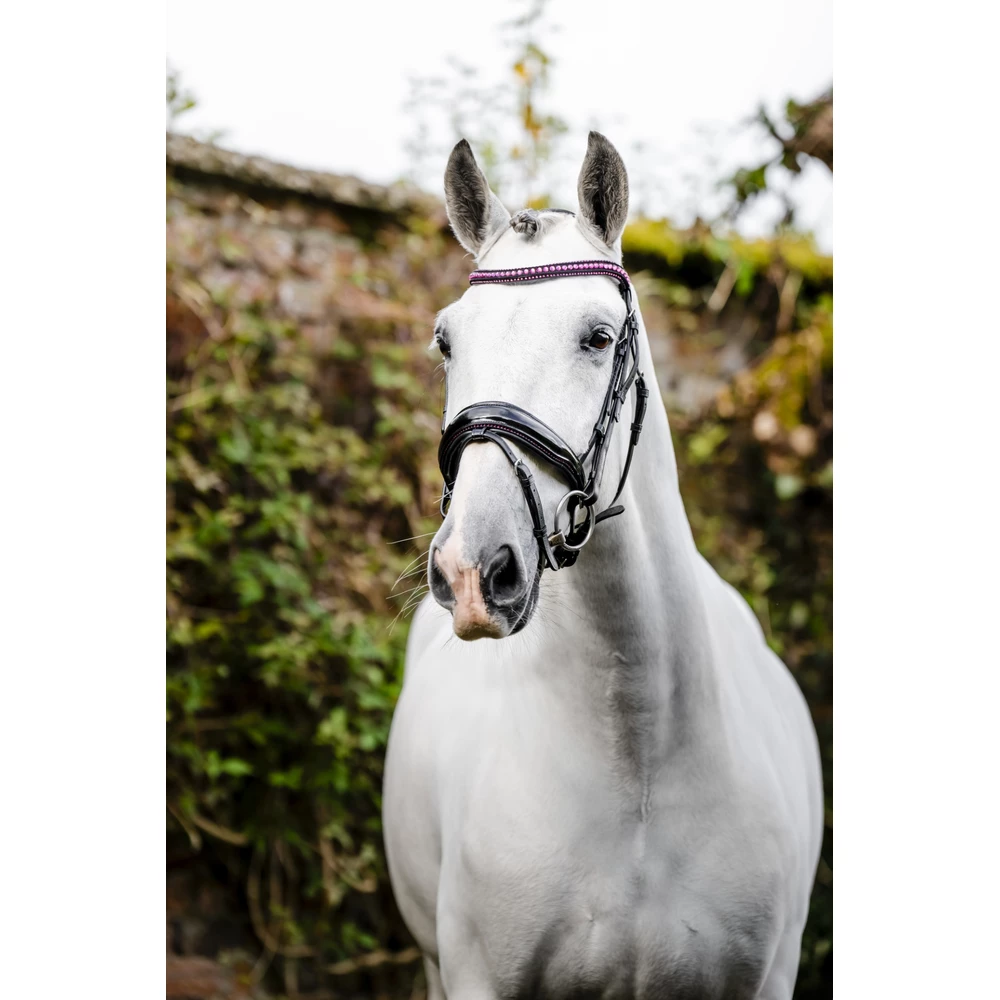 Horseware Diamante Flash Bridle - Black/Pink in Black/Pink