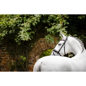 Horseware Diamante Flash Bridle - Black/Pink in Black/Pink