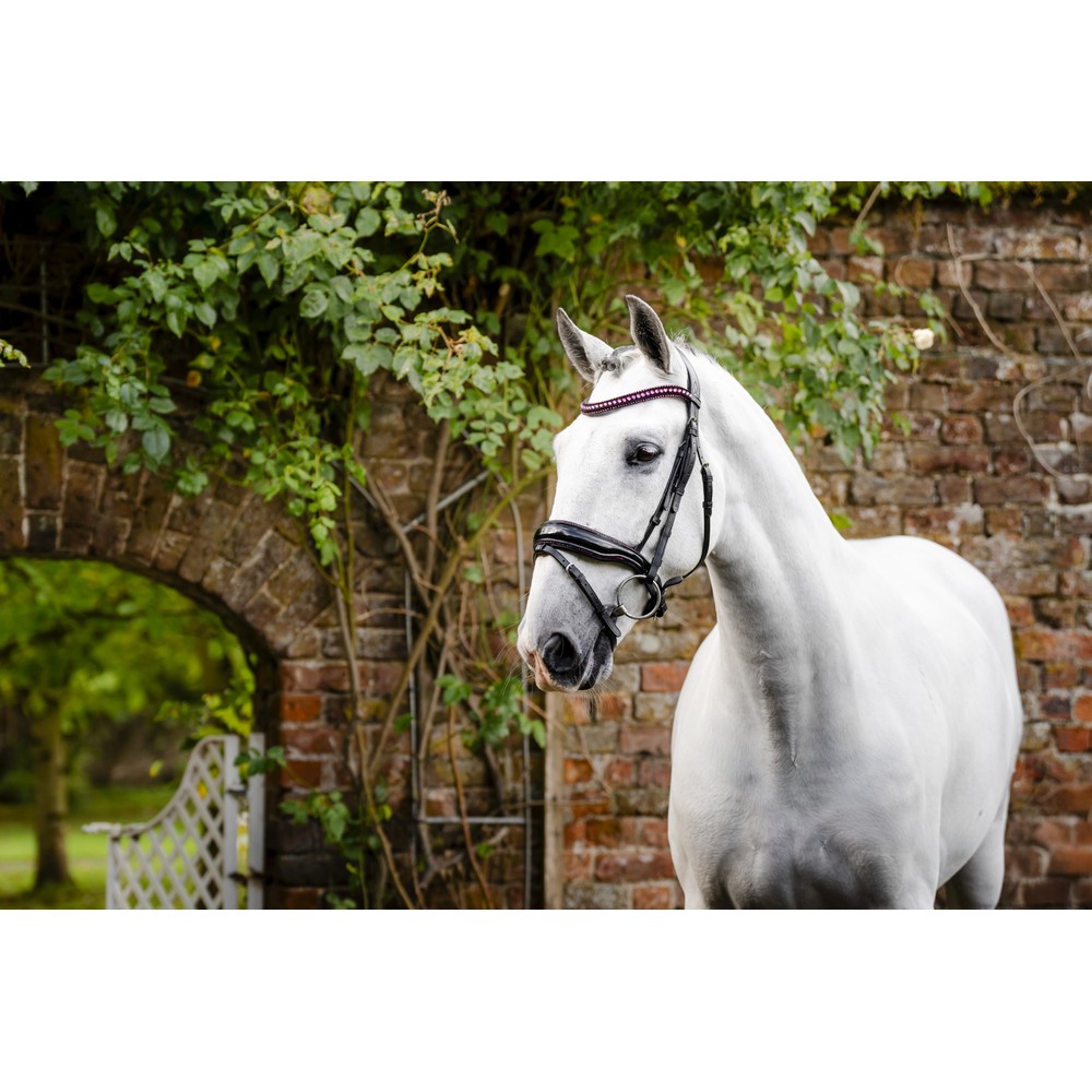Horseware Diamante Flash Bridle - Black/Pink