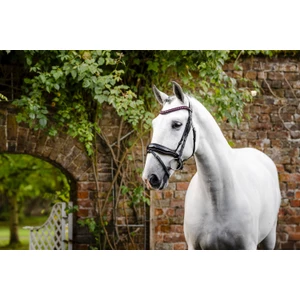 Horseware Diamante Flash Bridle - Black/Pink in Black/Pink
