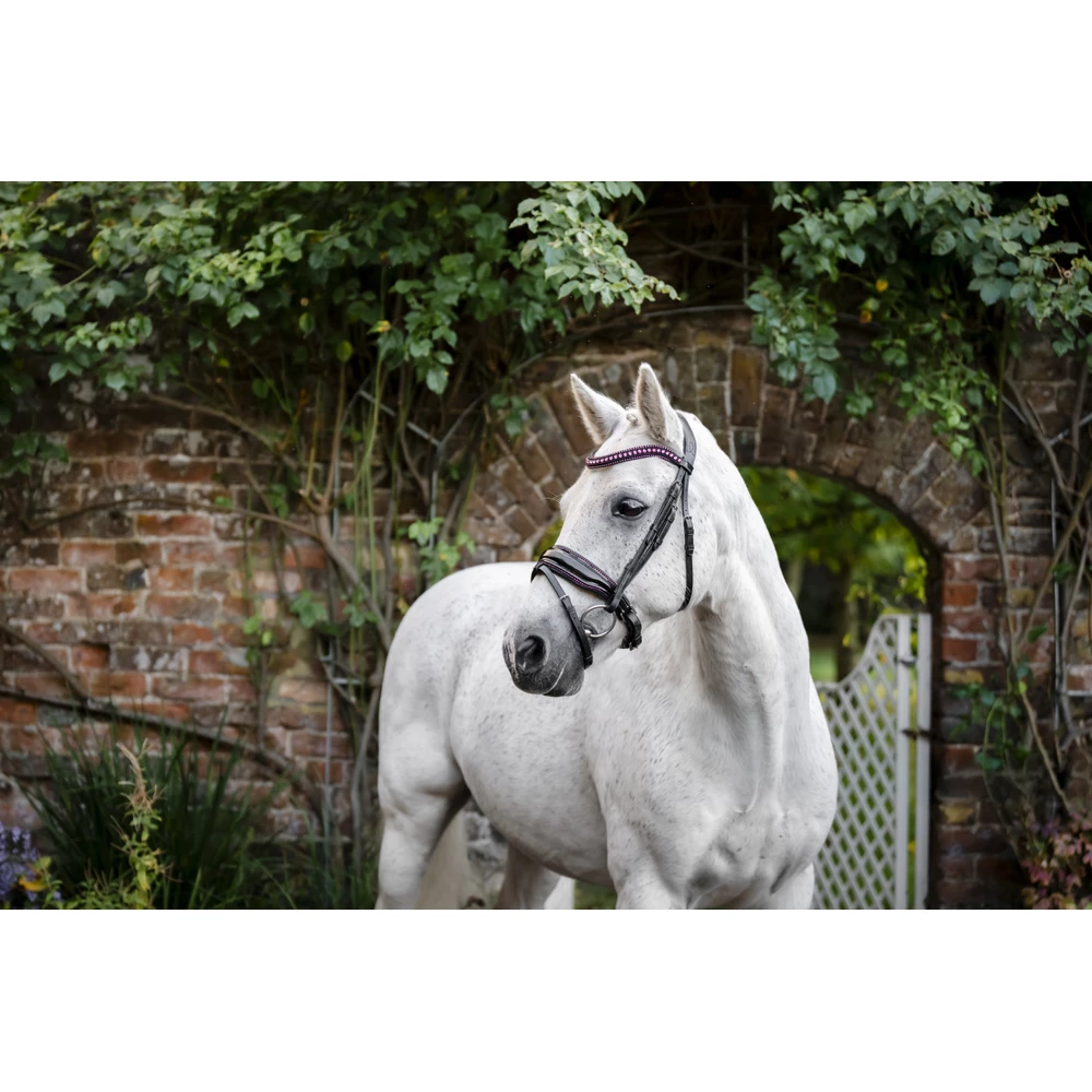 Horseware Pony Diamante Flash Bridle - Black/Pink in Black/Pink