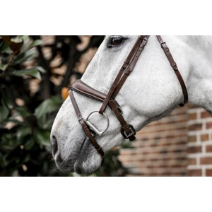 Horseware Dressage Flash Bridle - Brown in Brown