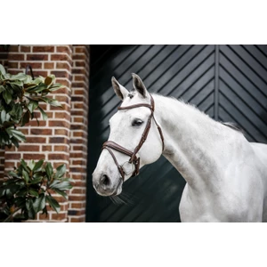 Horseware Dressage Flash Bridle - Brown in Brown