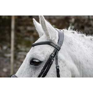 Horseware Pony Flash Bridle - Black in Black