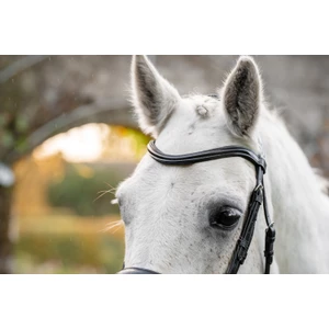 Horseware Pony Flash Bridle - Black in Black