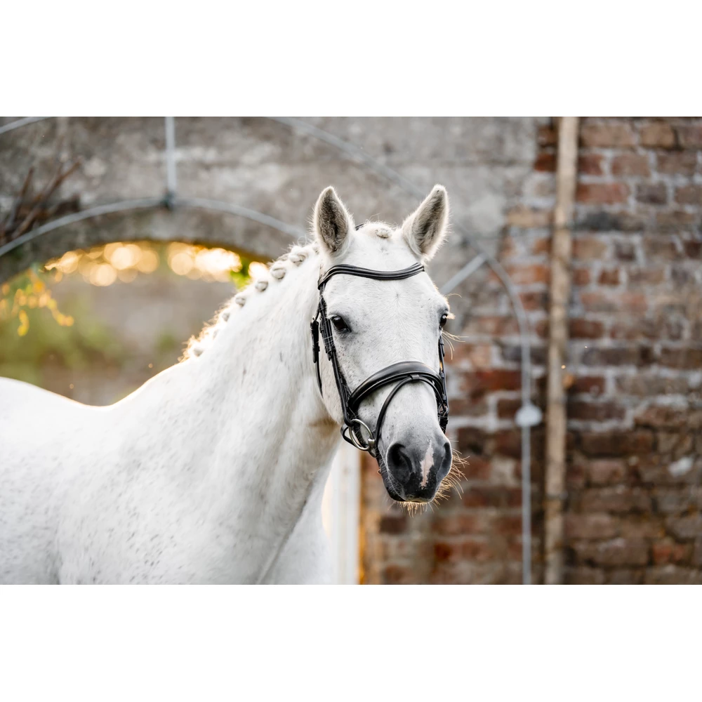 Horseware Pony Flash Bridle - Black in Black