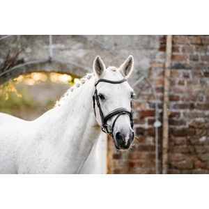 Horseware Pony Flash Bridle - Black in Black