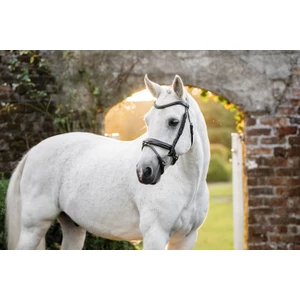 Horseware Pony Flash Bridle - Black in Black