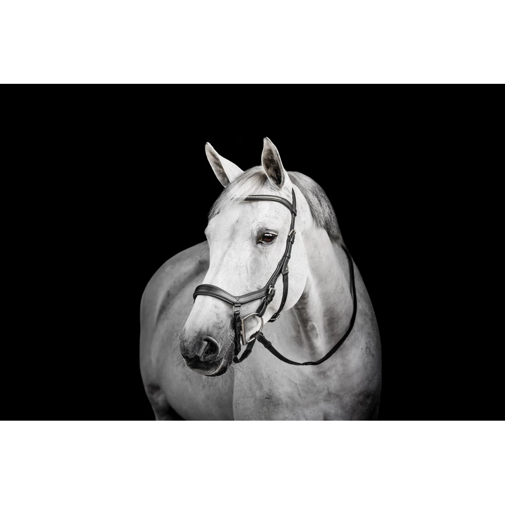 Horseware Micklem Diamante Competition  - Black in Black