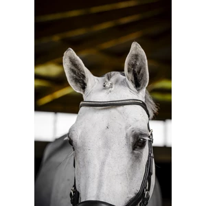 Horseware Micklem Diamante Competition  - Black in Black