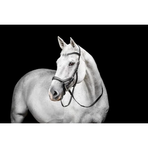 Horseware Micklem Competition Bridle - Black in Black