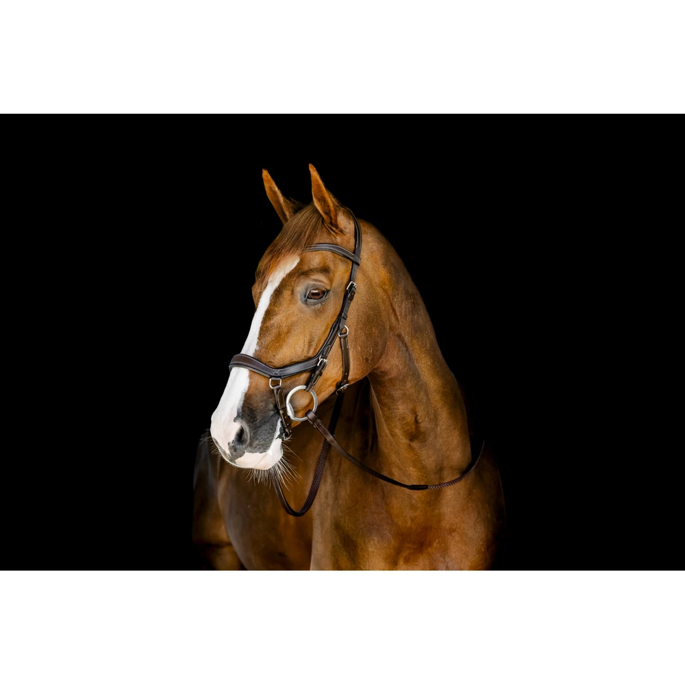 Horseware Micklem Competition Bridle - Dark Havana in Dark Havana