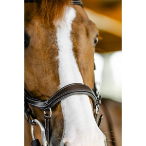 Horseware Micklem Competition Bridle - Dark Havana in Dark Havana