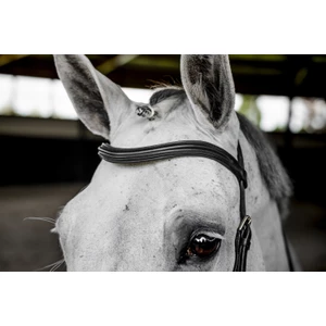 Horseware Micklem Deluxe Competition  - Black in Black