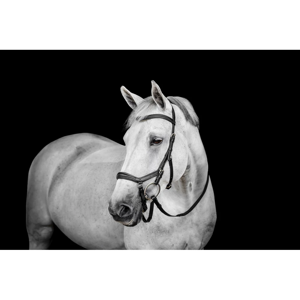 Horseware Micklem Deluxe Competition  - Black in Black