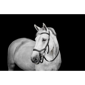 Horseware Micklem Deluxe Competition  - Black in Black