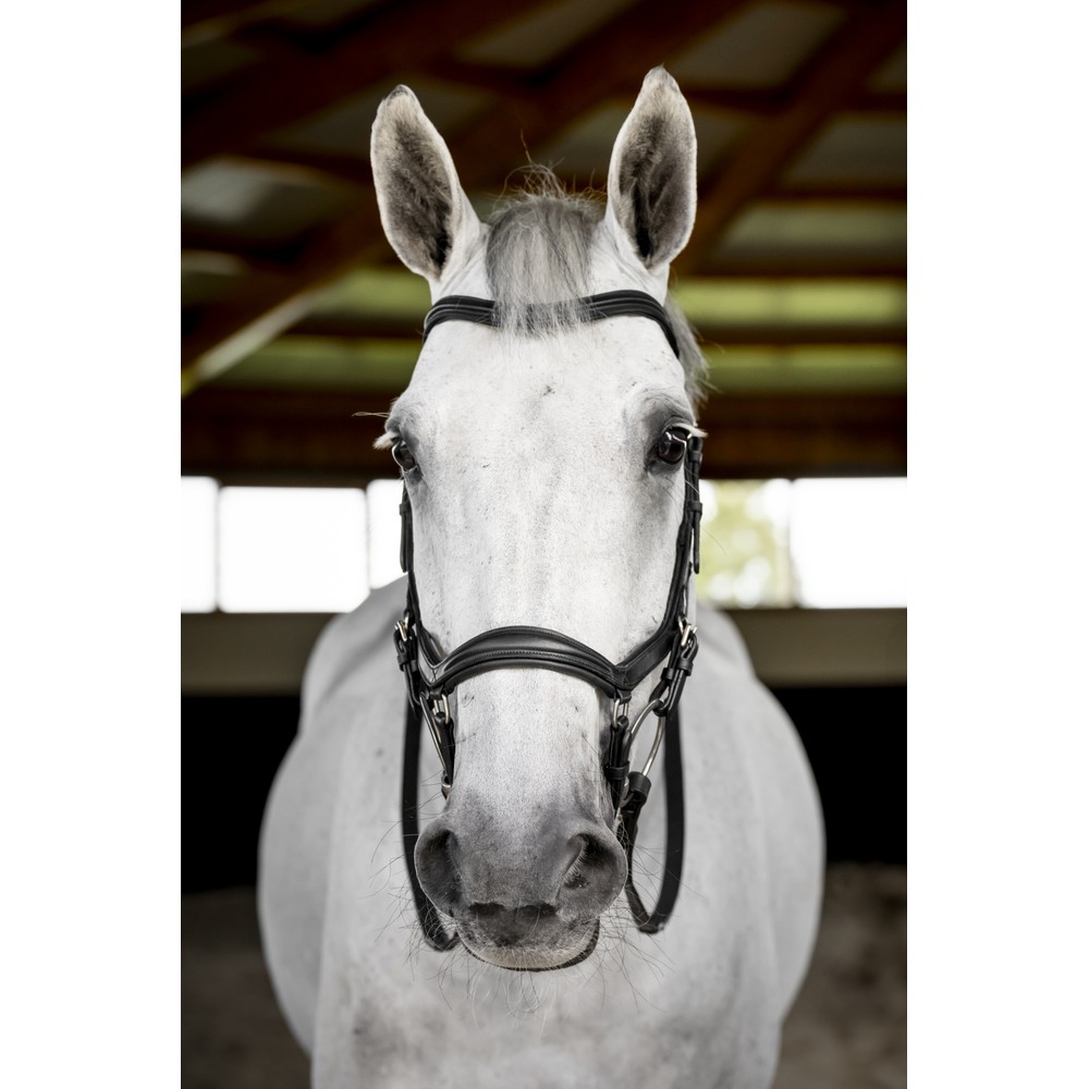 Horseware Micklem Deluxe Competition  - Black 