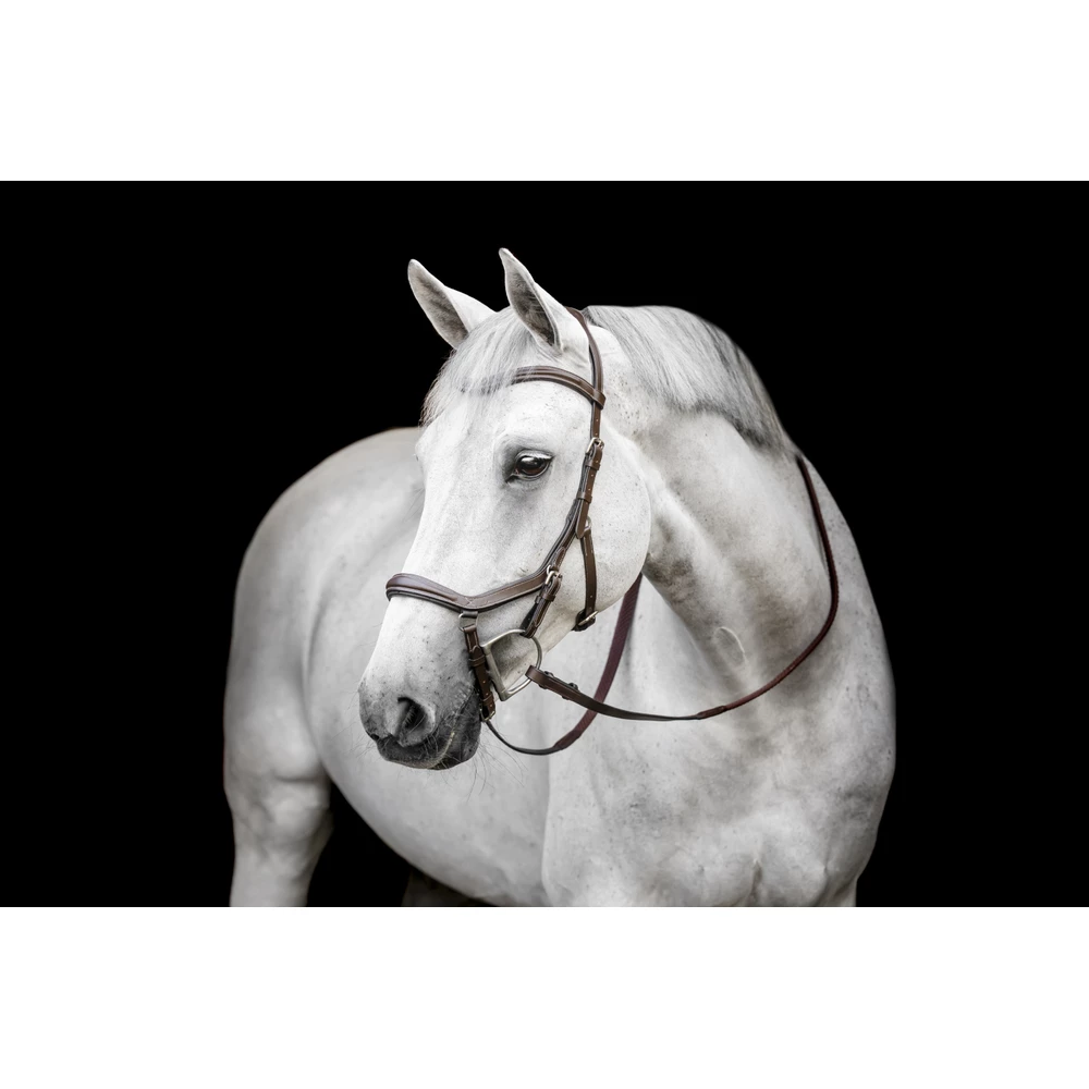 Horseware Micklem Deluxe Competition - Dark Havana in Dark Havana