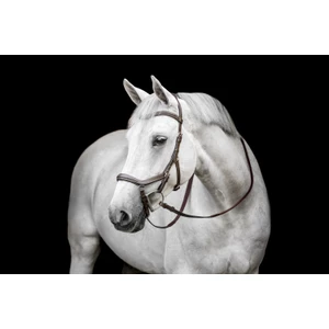 Horseware Micklem Deluxe Competition - Dark Havana in Dark Havana