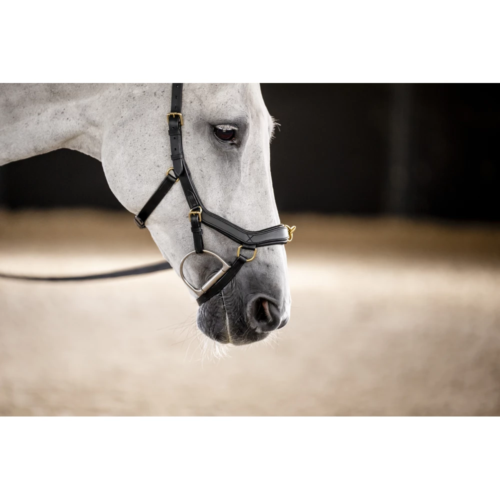 Horseware Micklem Multi Bridle - Black in Black