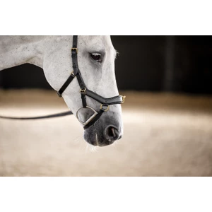Horseware Micklem Multi Bridle - Black in Black