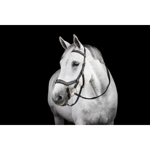 Horseware Micklem Multi Bridle - Black in Black