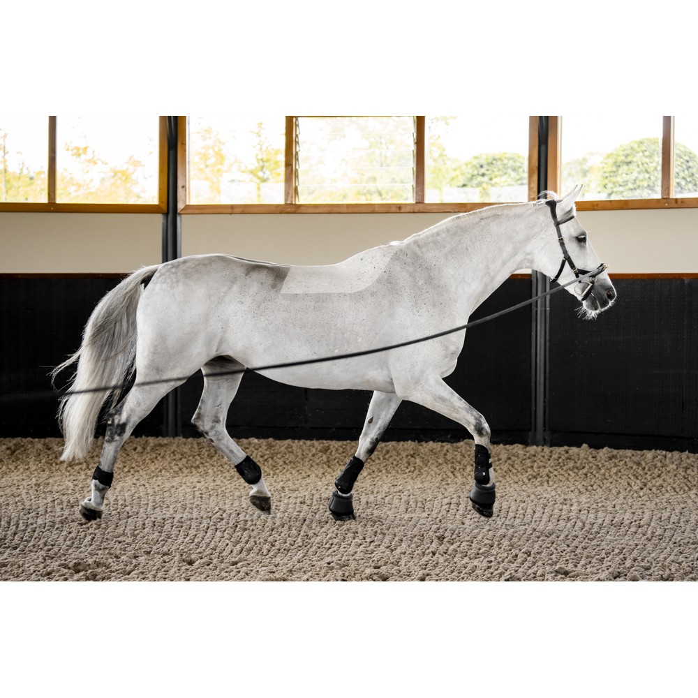 Horseware Micklem Multi Bridle - Black