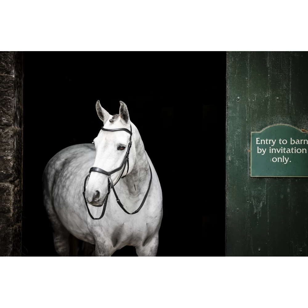 Horseware Micklem Micklem Bitless Bridle - Black in Black