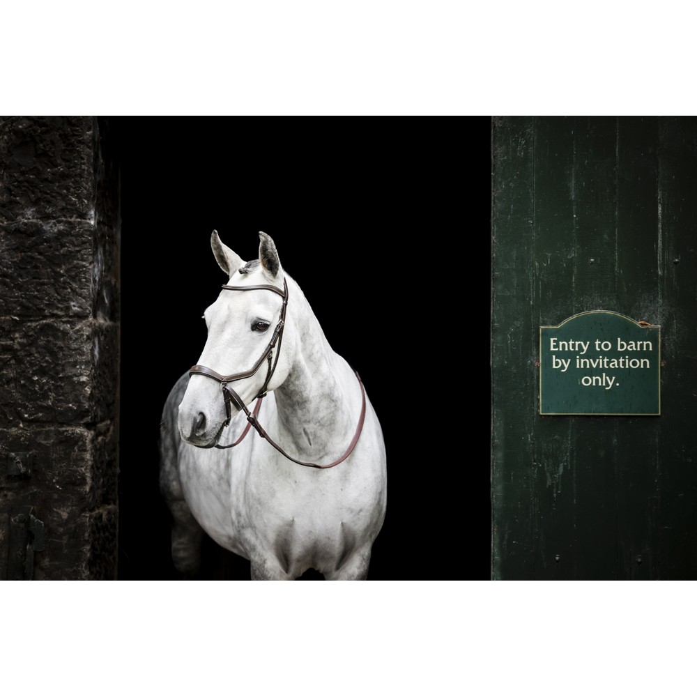 Horseware Micklem Micklem Bitless Bridle - Brown 
