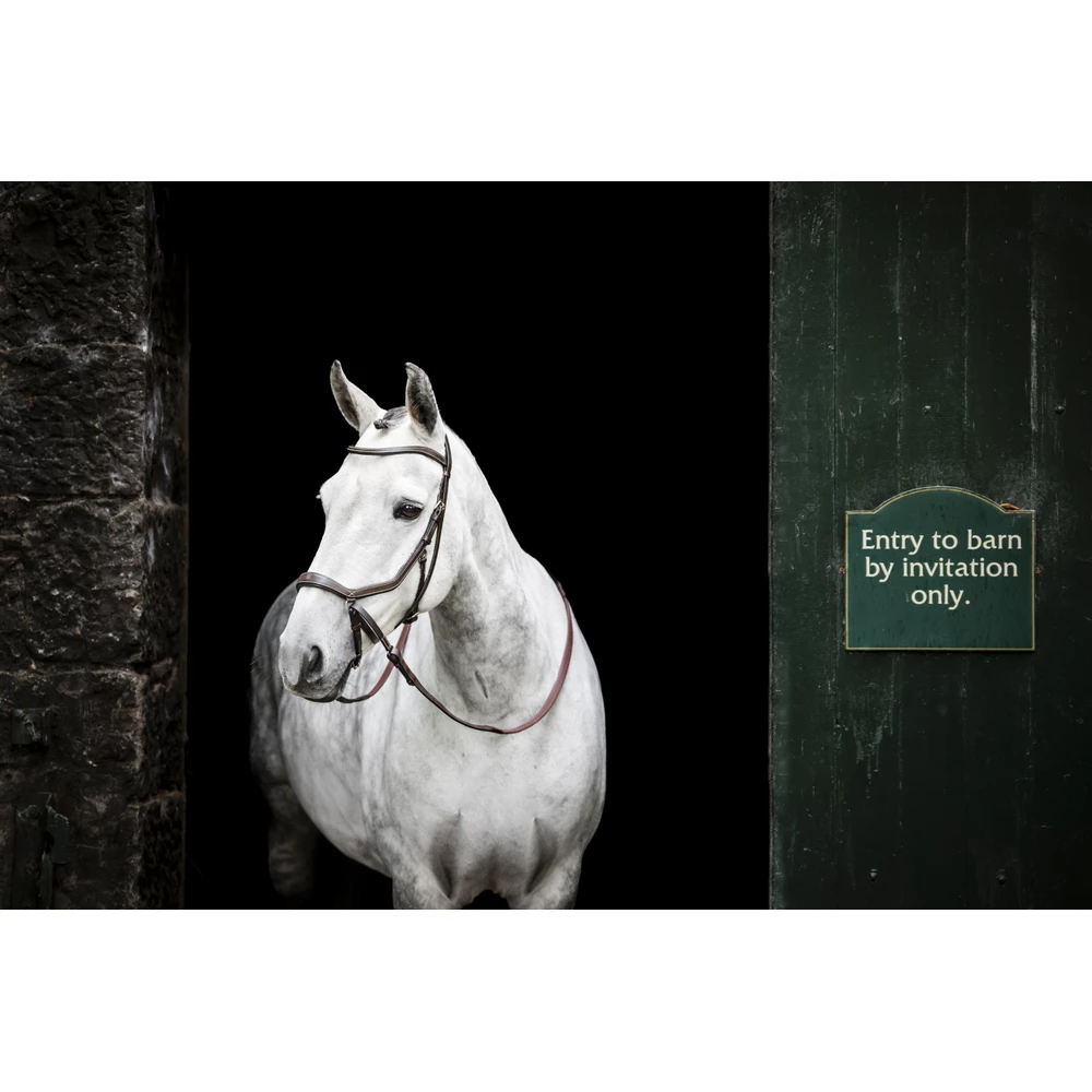 Horseware Micklem Micklem Bitless Bridle - Brown in Brown