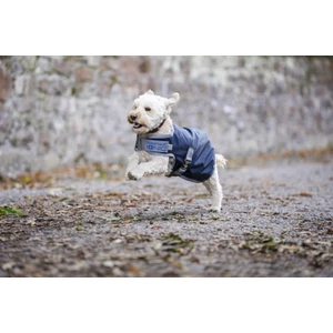 Horseware Ionic Therapy Dog Coat 50g - Imperial Blue/Silver & Navy 