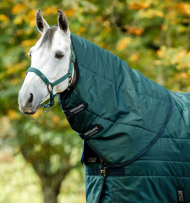 Horseware Amigo Amigo Ripstop Insulator Stable Hood 200g - Dynasty Green/Navy & Silver