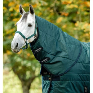 Horseware Amigo Amigo Ripstop Insulator Stable Hood 200g - Dynasty Green/Navy & Silver in Dynasty Green/Navy & Silver