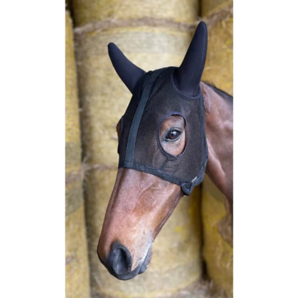 Celtic Equine Supplies Breeze Up