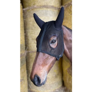 Celtic Equine Supplies Breeze Up