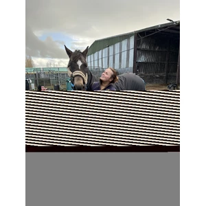 Bridleway Ontario 220g Combo Turnout Rug - Black in Black