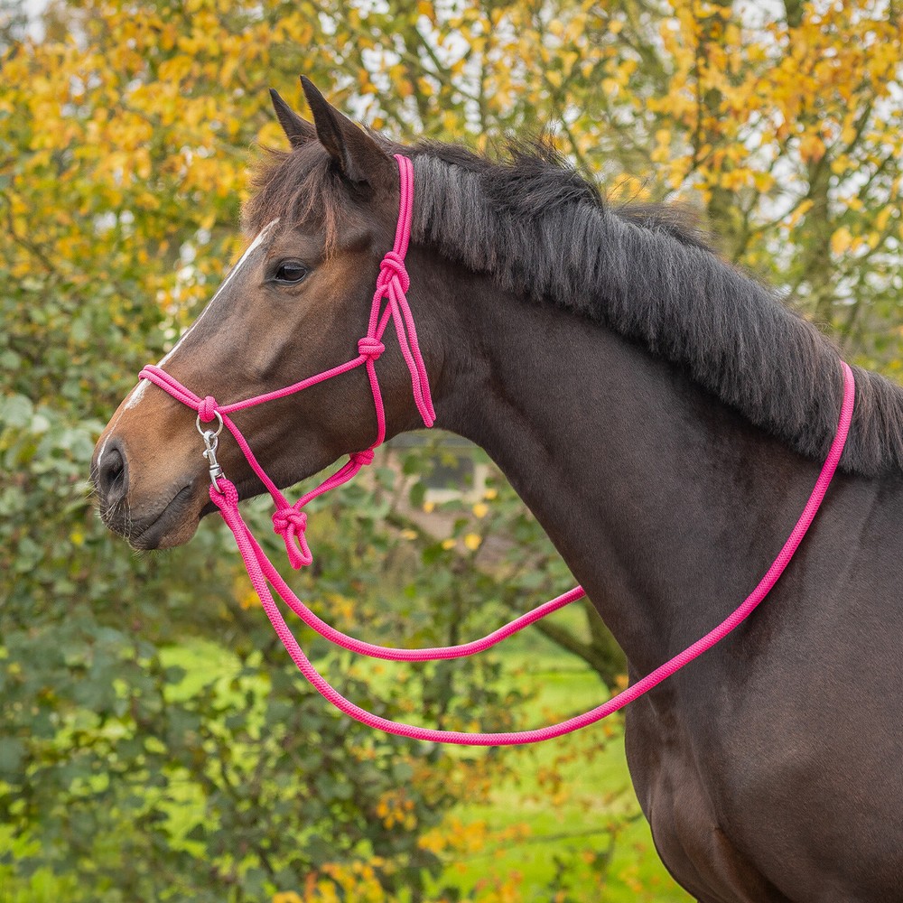 QHP Rope halter Color with rein - Fuchsia