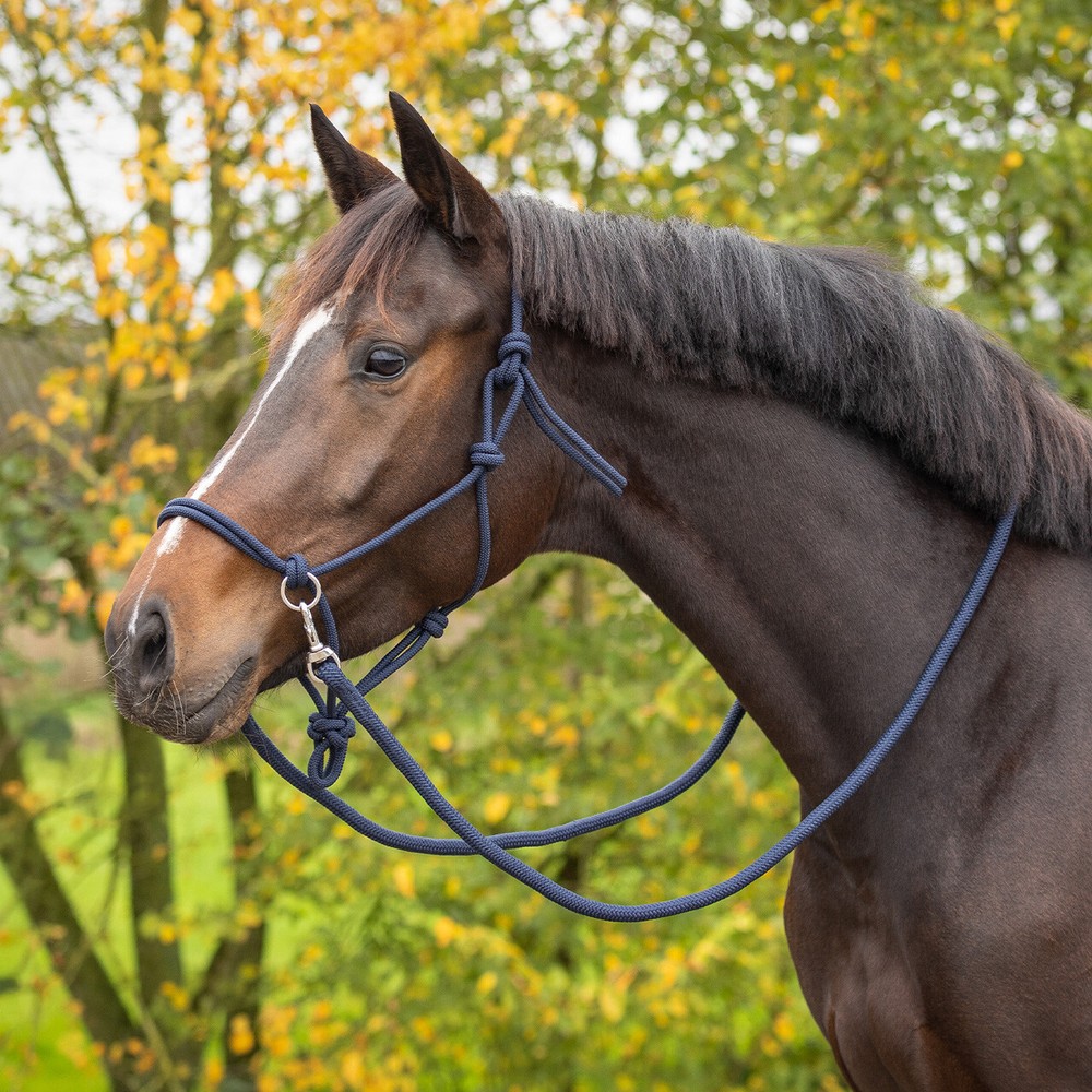 QHP Rope halter Color with rein - Navy 
