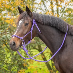 QHP Rope halter Color with rein - Passion Flower in Passion Flower