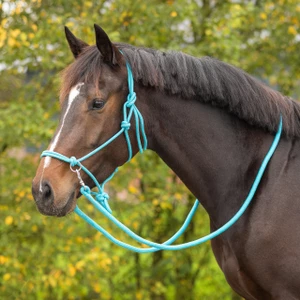 QHP Rope halter Color with rein - Sky in Sky