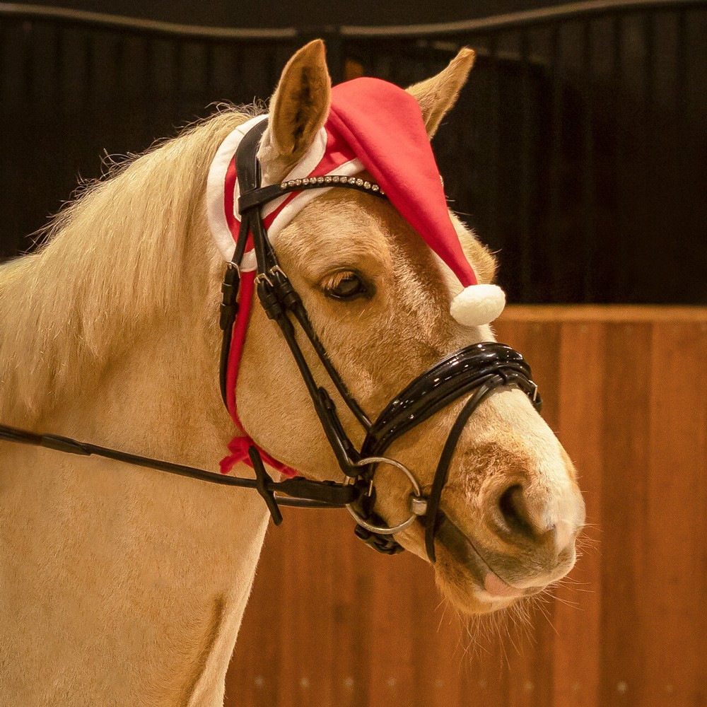 QHP Christmas hat horse - Red