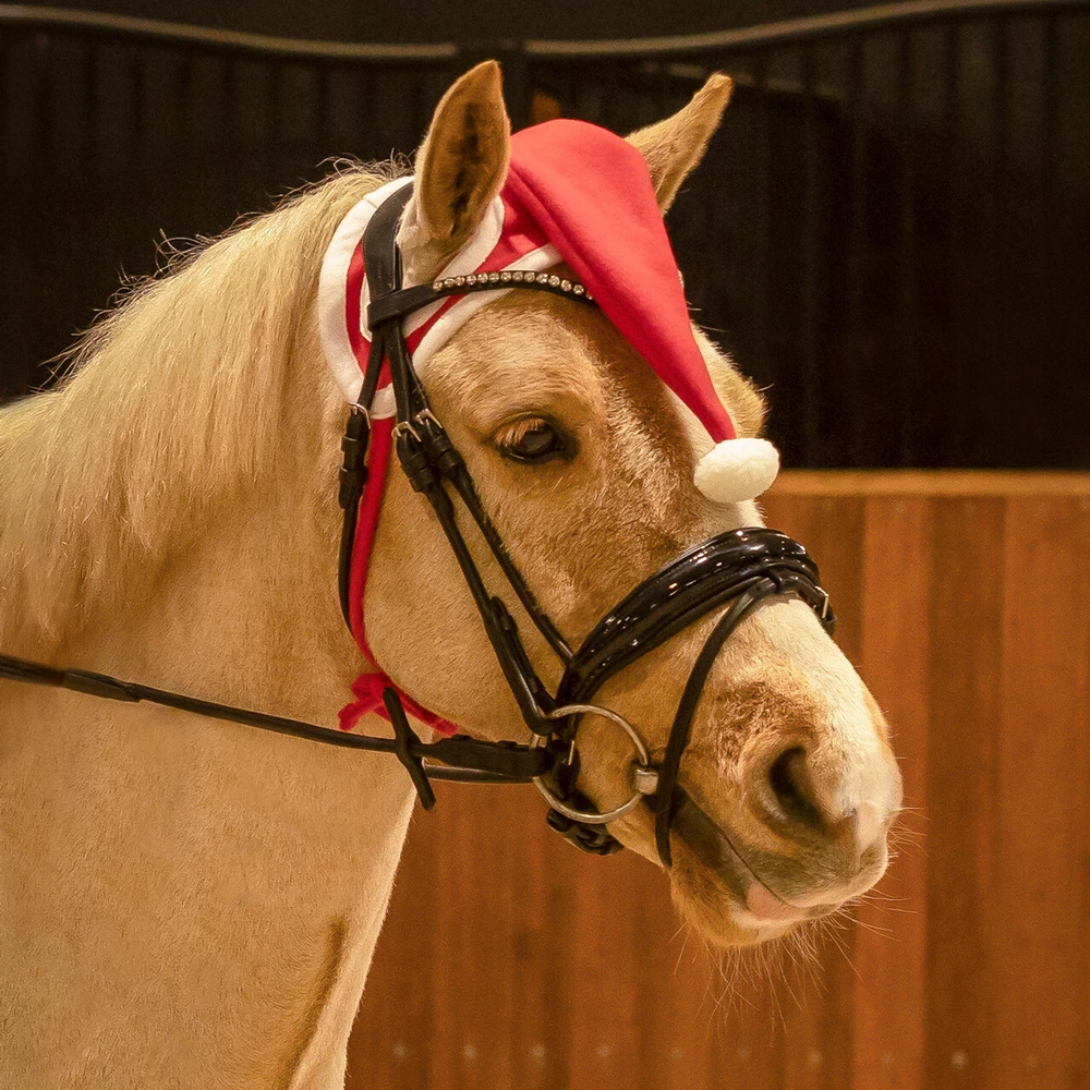 QHP Christmas hat horse - Red in Red