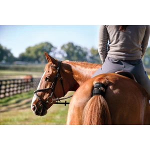 Garmin Blaze Equine wellness system in Black