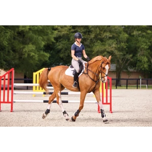 Garmin Blaze Equine wellness system in Black