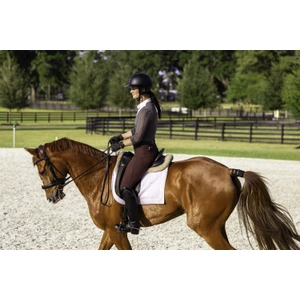 Garmin Blaze Equine wellness system in Black