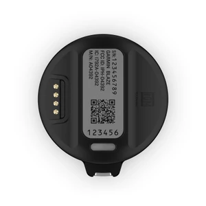 Garmin Blaze Equine wellness system in Black