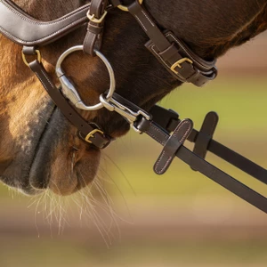 QHP Rein one sided anti-slip with clip - Brown 